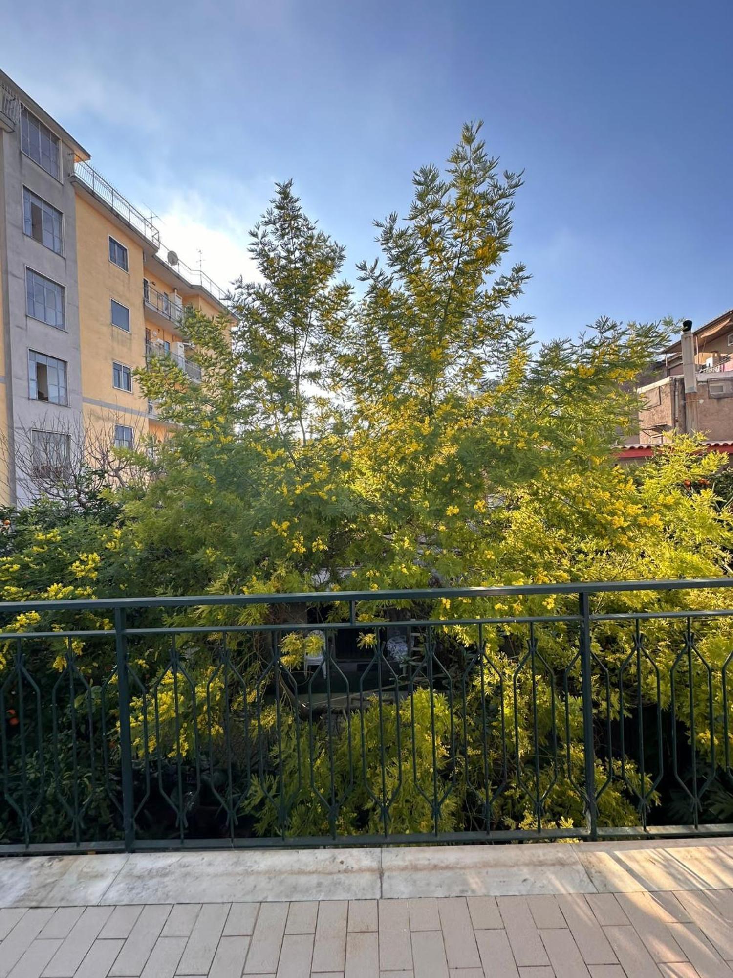 Il Campanile Hotel Scafati Bagian luar foto